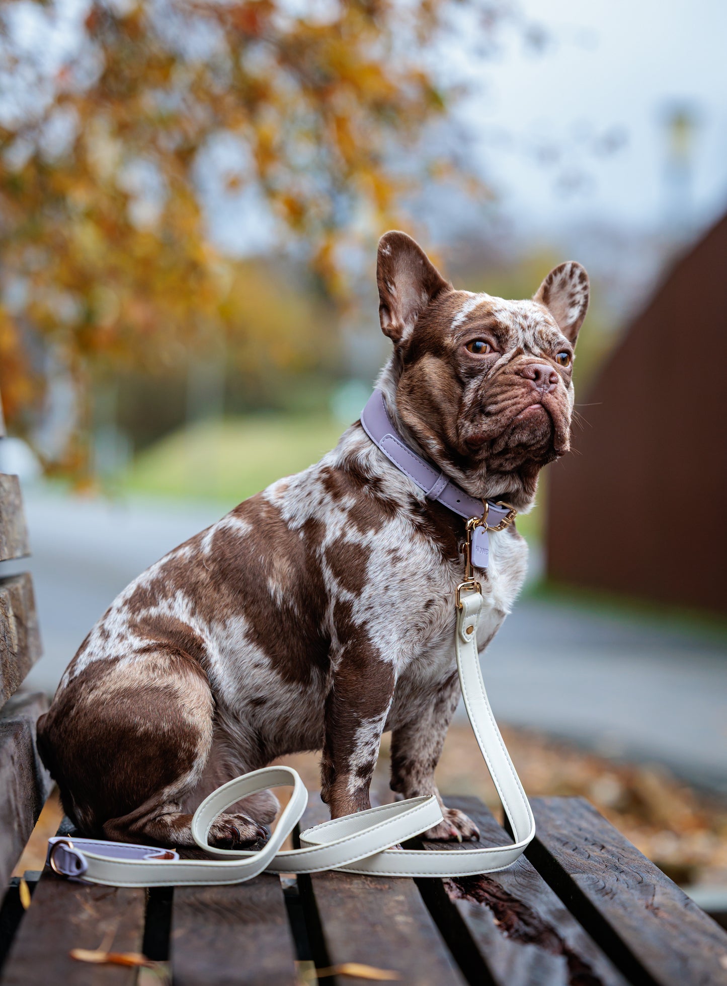 Vegan Leather Leash