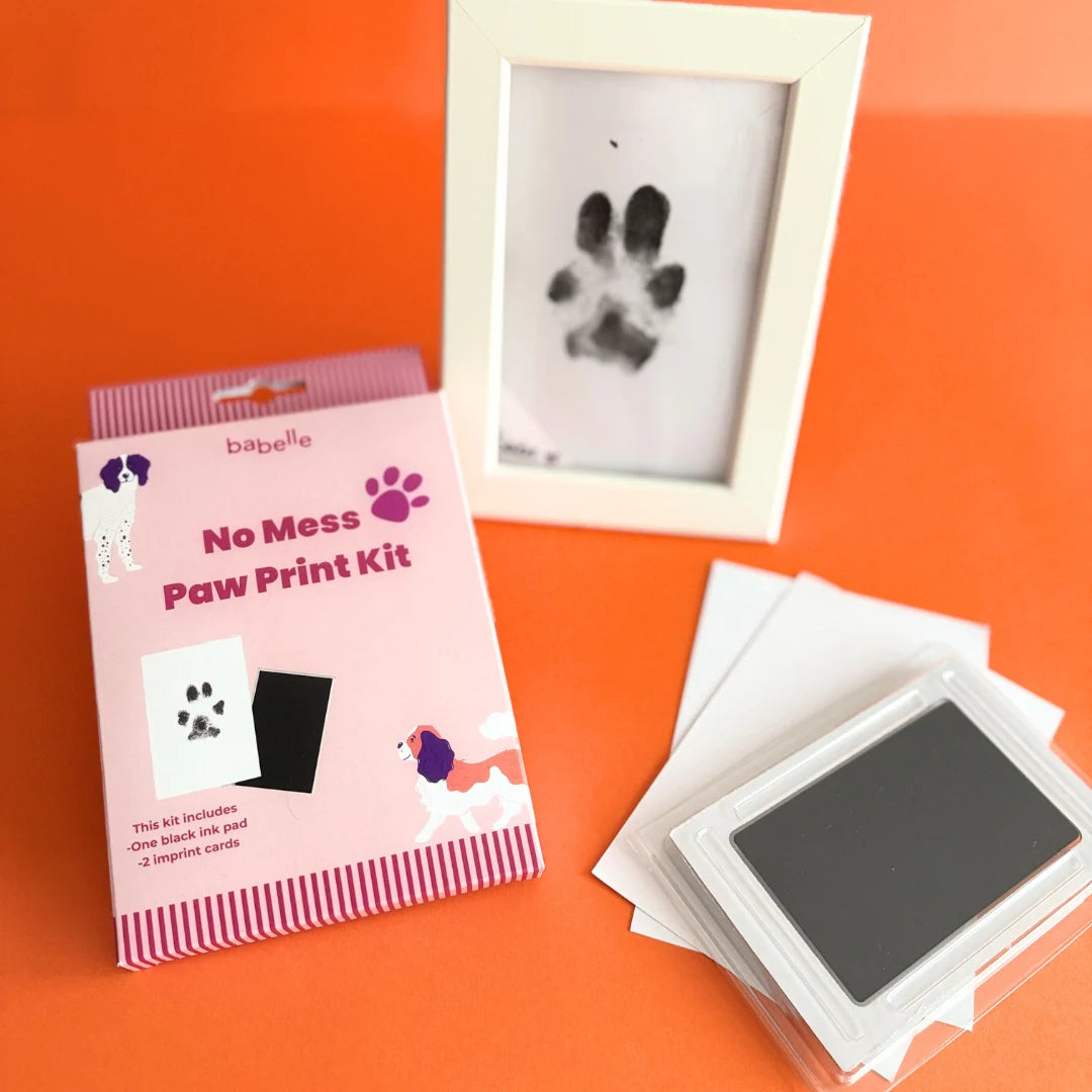 No-Mess Paw Print Kit