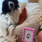 No-Mess Paw Print Kit