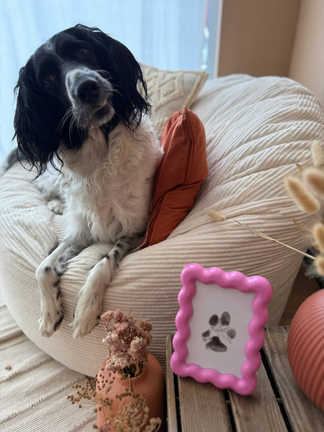 No-Mess Paw Print Kit