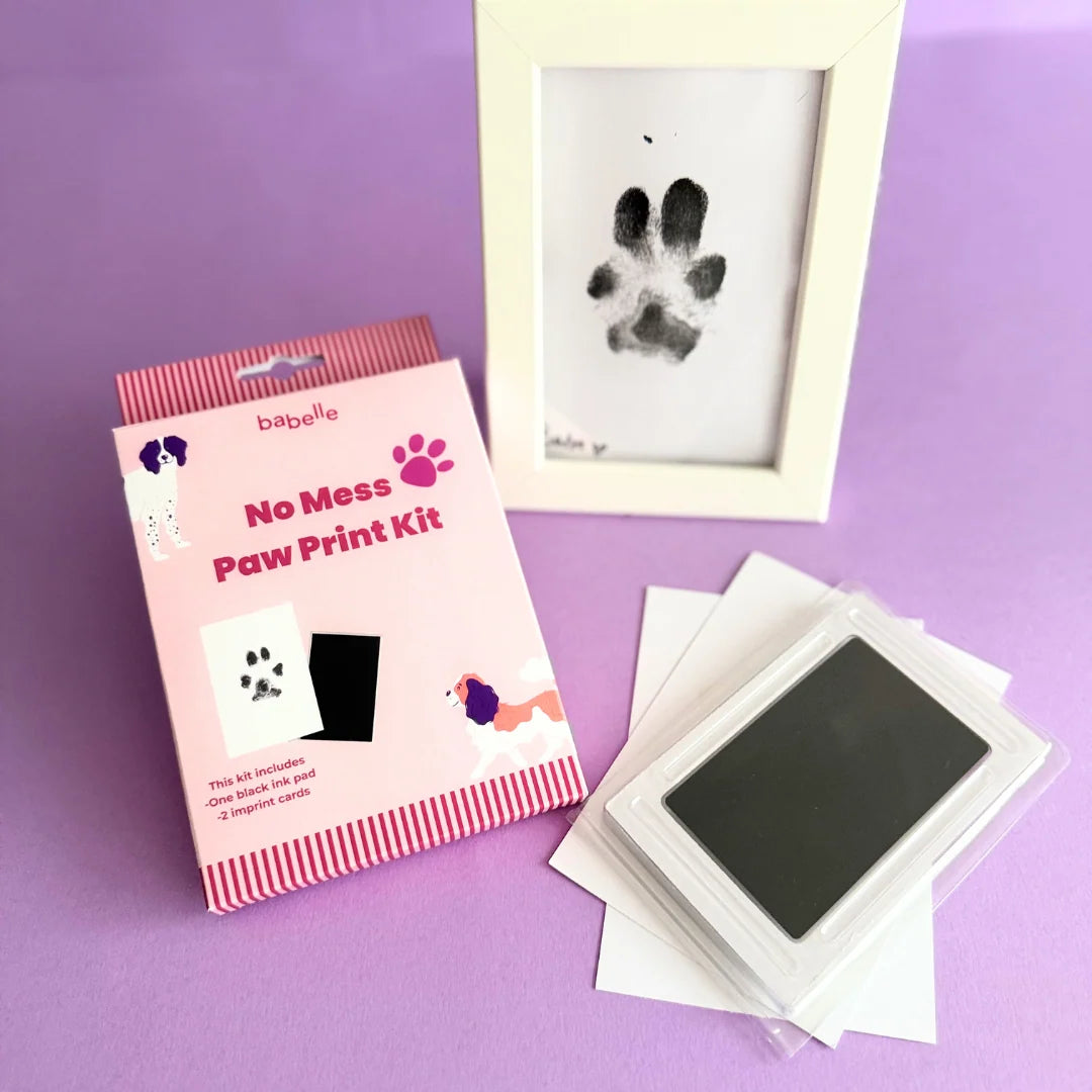 No-Mess Paw Print Kit