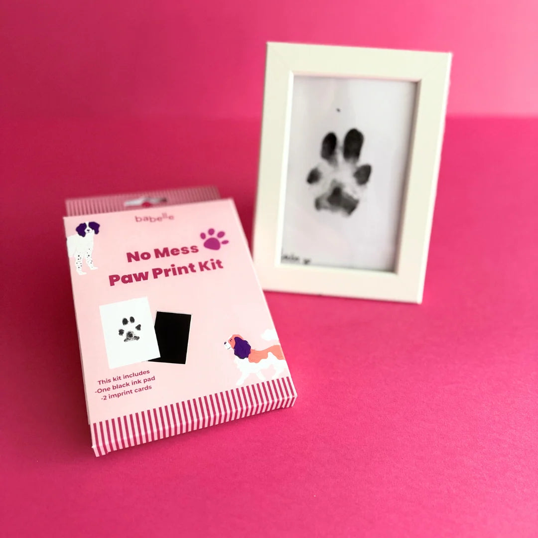 No-Mess Paw Print Kit