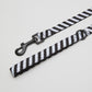 Zebra Dog Leash
