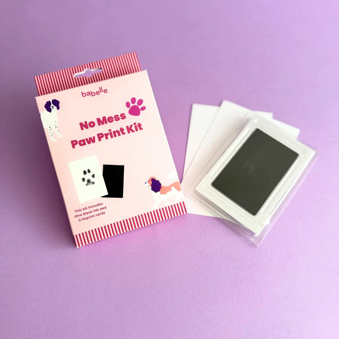 No-Mess Paw Print Kit