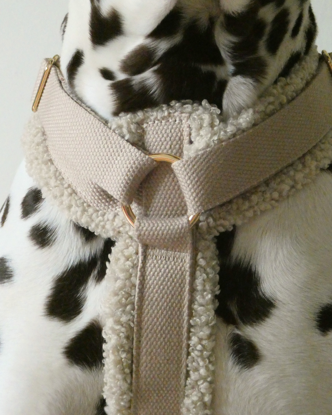 Teddy Harness - Cashew