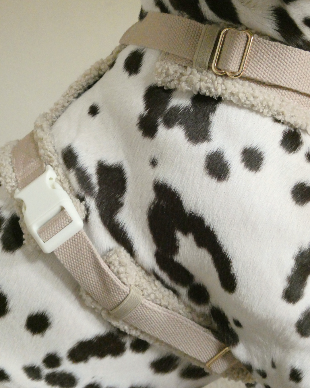 Teddy Harness - Cashew