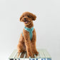 Velvet Dog Harness - Blue
