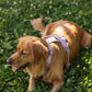 Velvet Dog Harness - Lilac