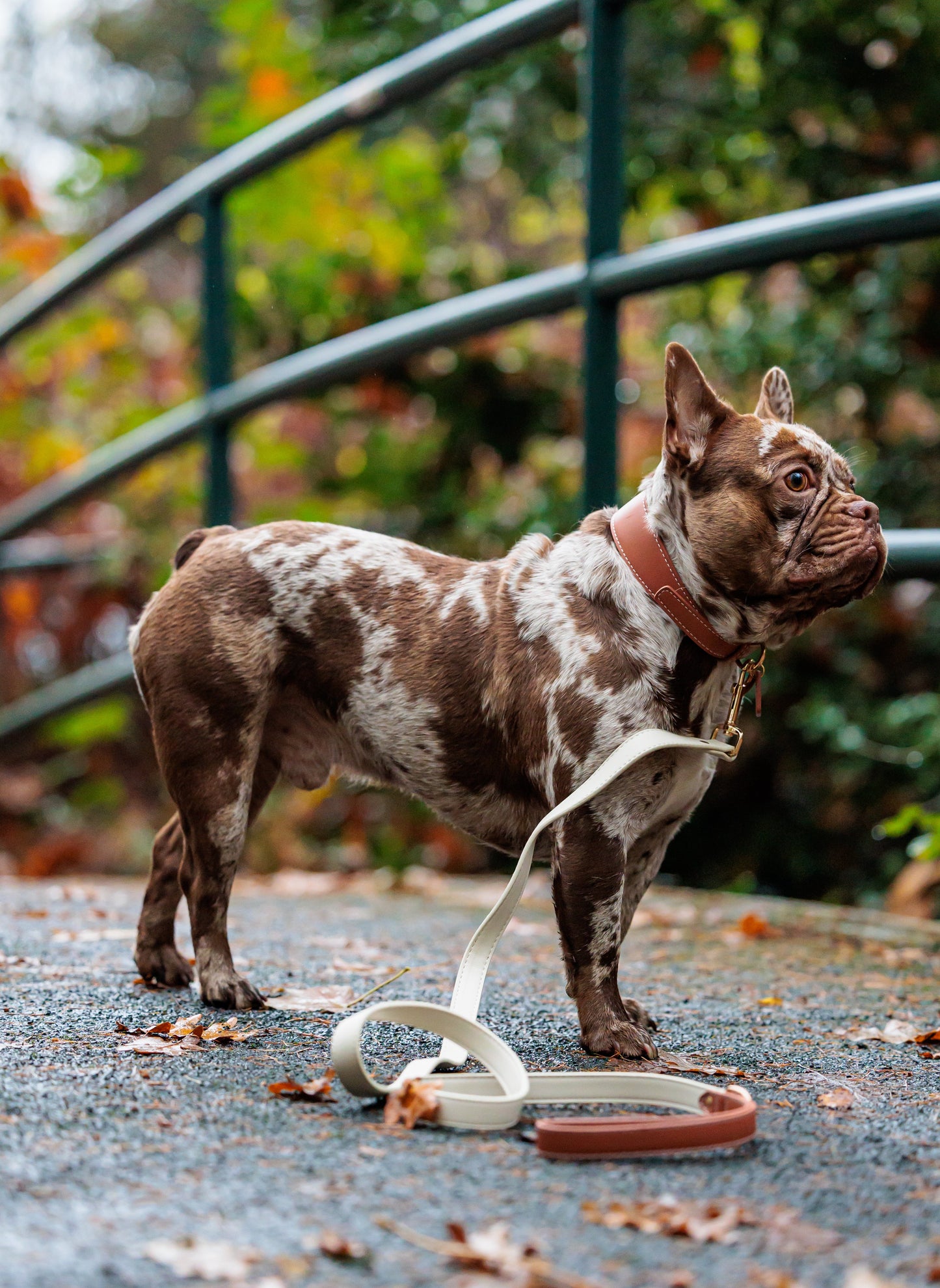Vegan Leather Leash