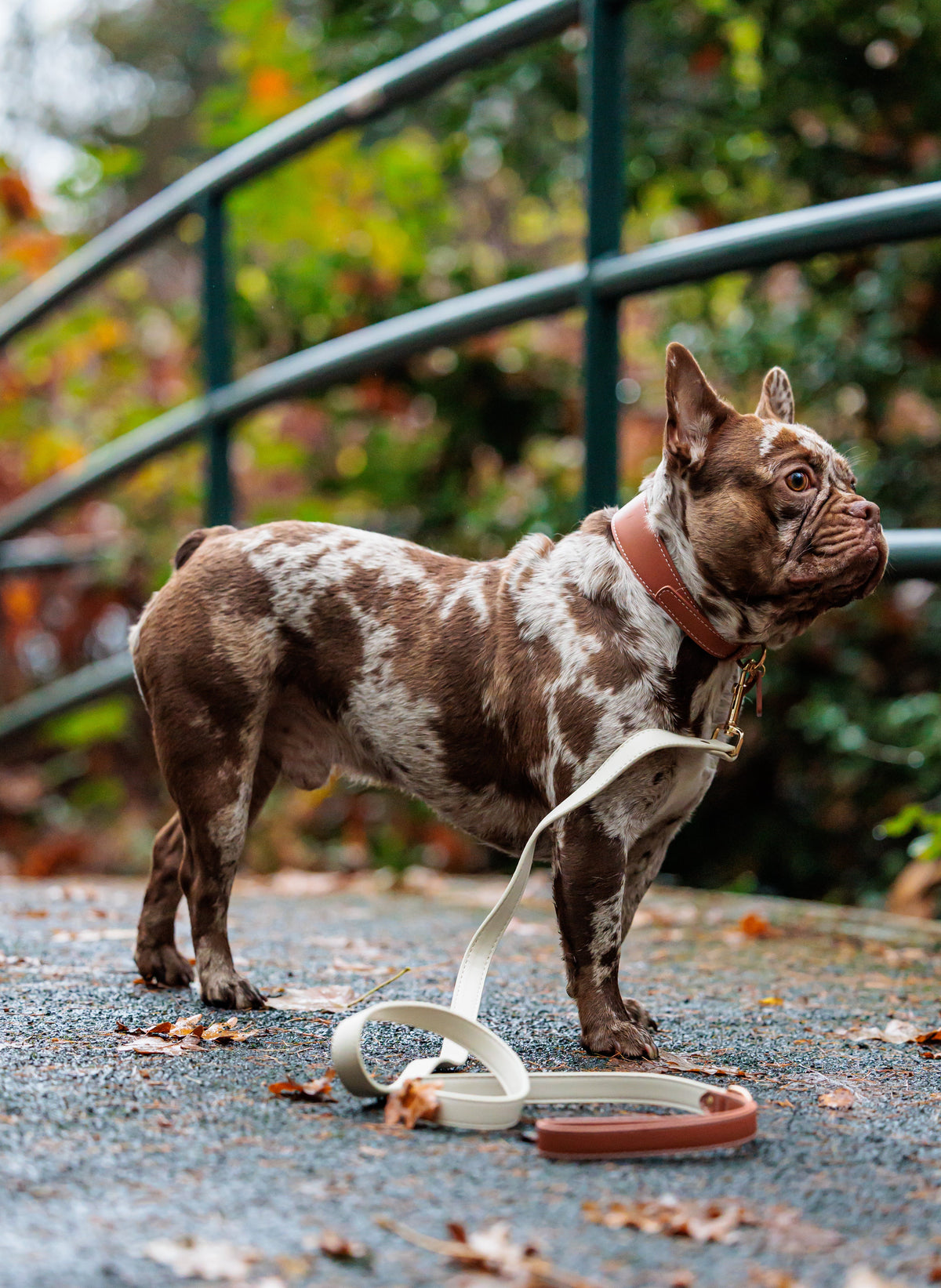 Vegan Leather Leash