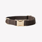 Canvas Dog Collar - Brown