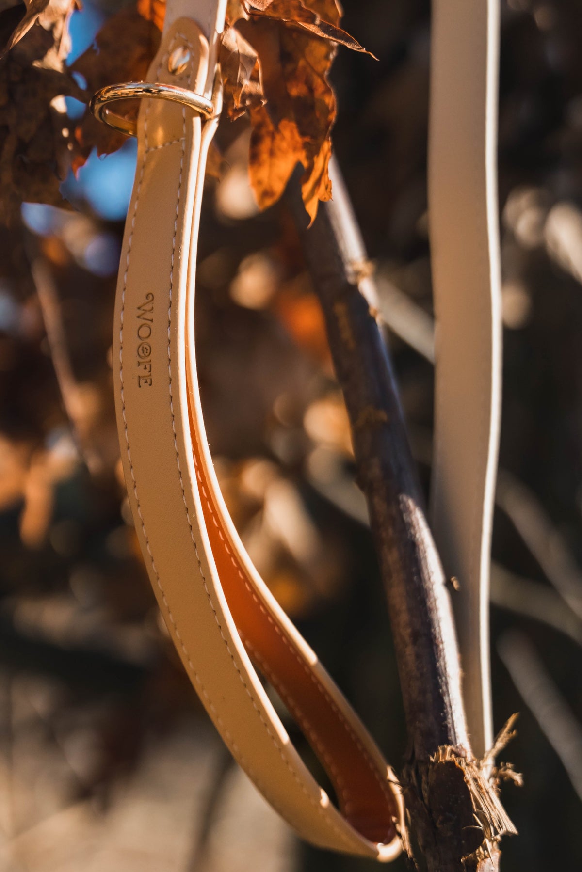 Vegan Leather Leash