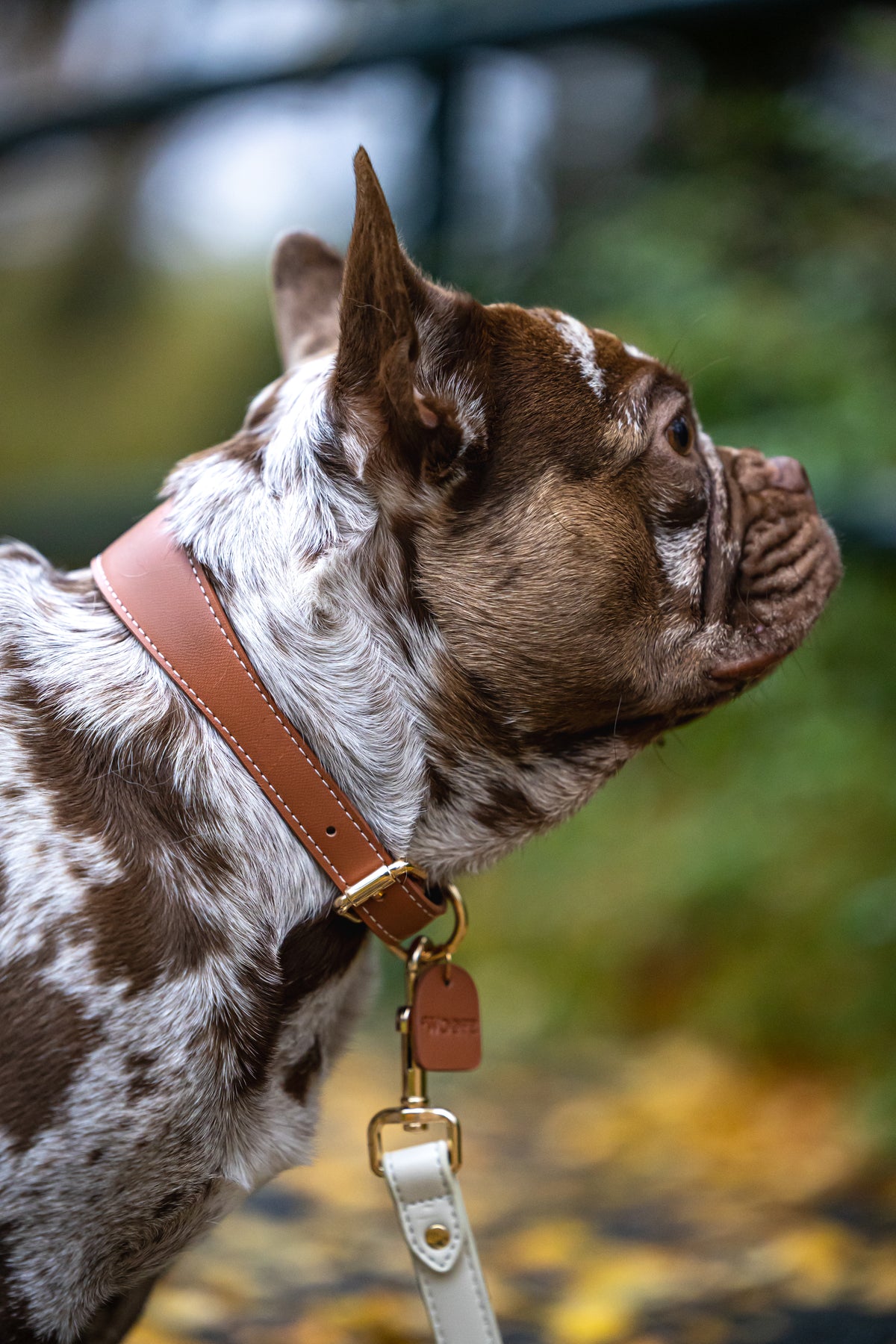 Vegan Leather Collar - Mocha