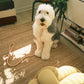 Braided Rope Leash - Powder Rose