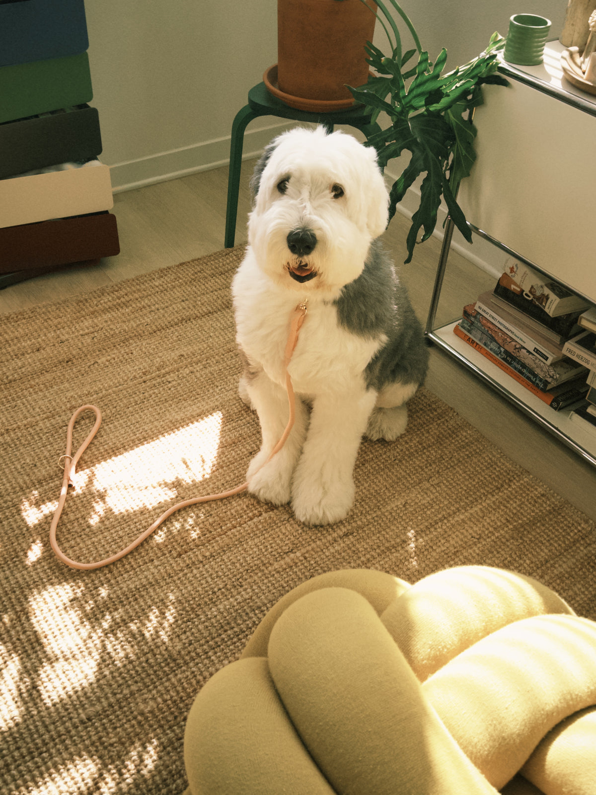 Braided Rope Leash - Powder Rose