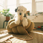Braided Rope Leash - Powder Rose