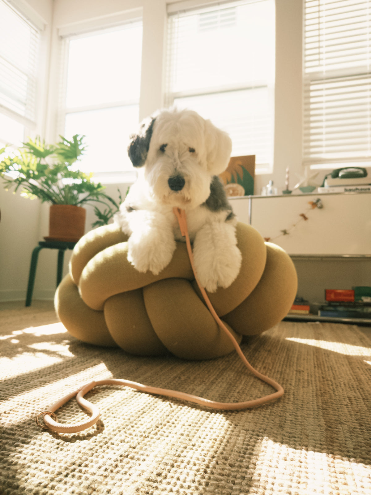 Braided Rope Leash - Powder Rose