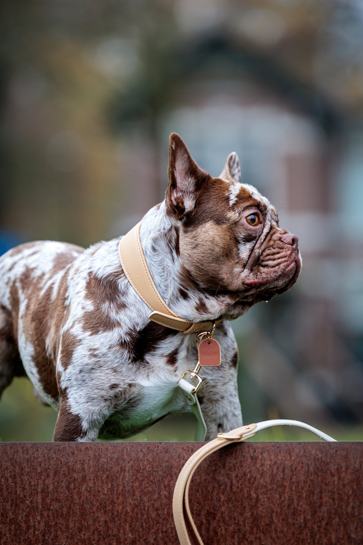 Vegan Leather Leash
