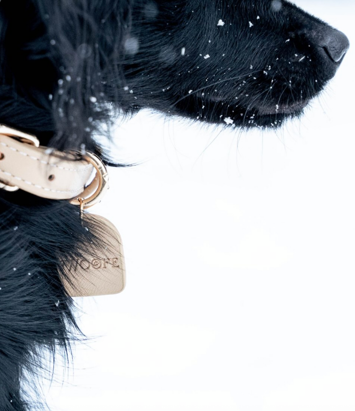 Vegan Leather Collar - Beige
