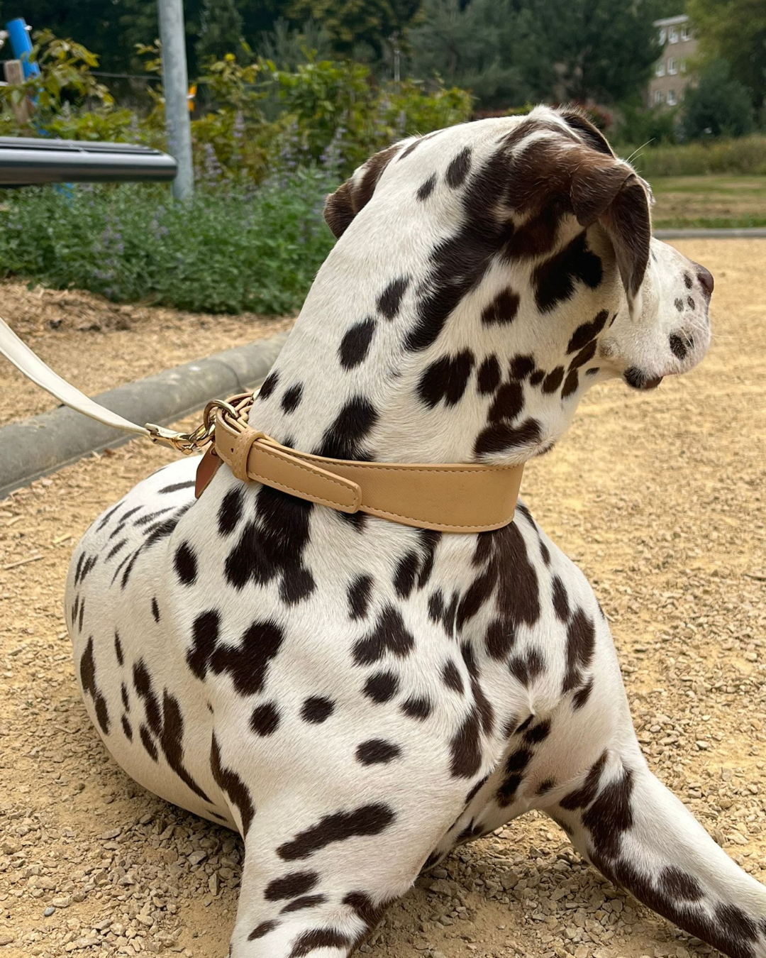 Vegan Leather Collar - Beige