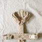 Teddy Harness - Cashew