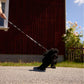 Cow Dog Leash